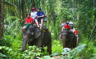 Krabi Elephant trekking option 2