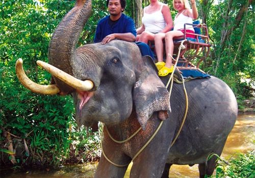 krabi elephant ride