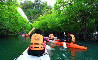 Krabi kayaking tour
