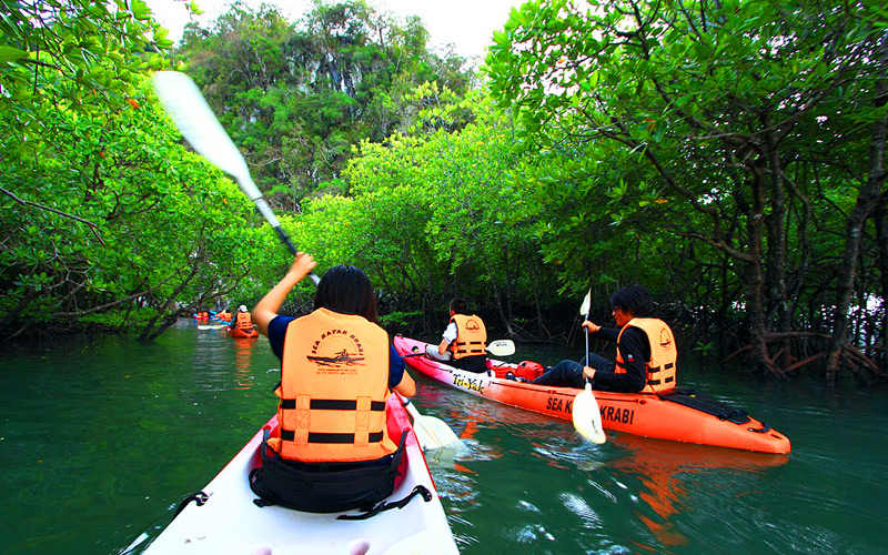 Krabi kayaking tour